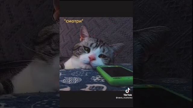 Класс