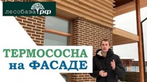 Термососна на фасаде загородного дома