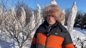 Когда ОБРЕЗАТЬ плодовые деревья и кустарники? Последствия обрезки ЗИМОЙ.