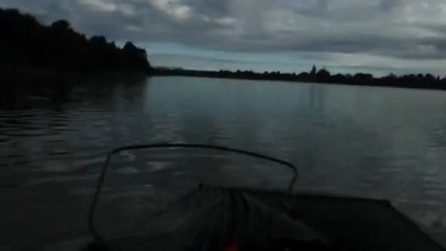 Grouper 350 под 9,8 100кг живого веса смотреть онлайн