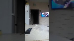 Нубик пук пук я твой волосатый друг