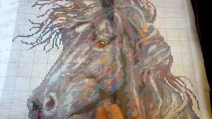 Вышивка крестом , ветер в гриве риолис отчёт 3