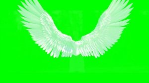 Футажи для видеомонтажа Крылья ангела Angel Wings Green Screen