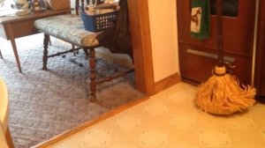 НАПУГАННЫЕ СОБАКИ. ПРИКОЛЫ НА ХЕЛЛОУИН.