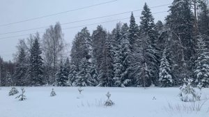 СИН БИТ ЧЕГӘН КЫЗЫ.. 25  БҮЛЕК!