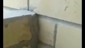 На кого Бог пошлет?