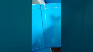 Улей из сендвич панели.