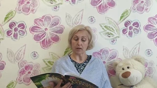 Терапевтическая сказка Е.Ульевой "Сказка о льве, который боялся мыть голову" смотреть онлайн
