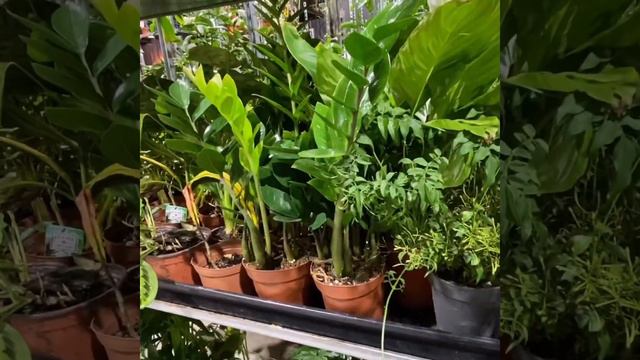 Обзор 30 октября 2019г ...📦🎁 смотреть онлайн