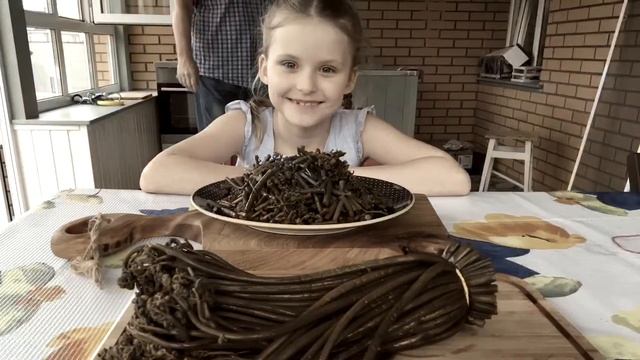 Как приготовить соленый папоротник Орляк