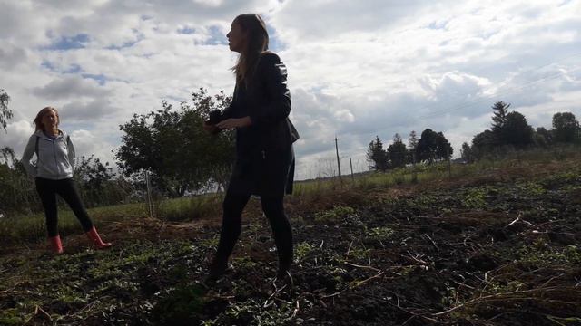 Пермакультура і пирій.  Агротехника удушения пырея от Иванны Билоус. Курсы пермакультурного дизайна