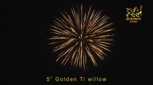 5" Golden ti willow