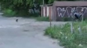 Переднеприводный лигерад "Одиночный"