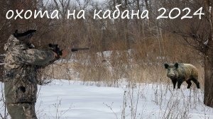 охота на кабана с подхода в Малиновке