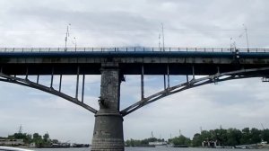 Гигантский паук живет под Старым мостом в Самаре --- Giant spider in Samara