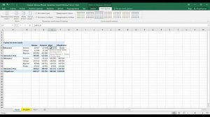 Сводные таблицы Фишки, Параметры страниц (параметры внешнего вида, печать, очищение фильтра) Часть