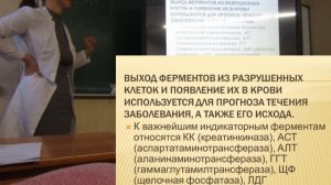 Биохимия мышечной и соединительной ткани