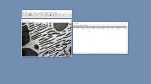 6. Измерения в ImageJ