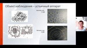 Комплекс технических средств обучения