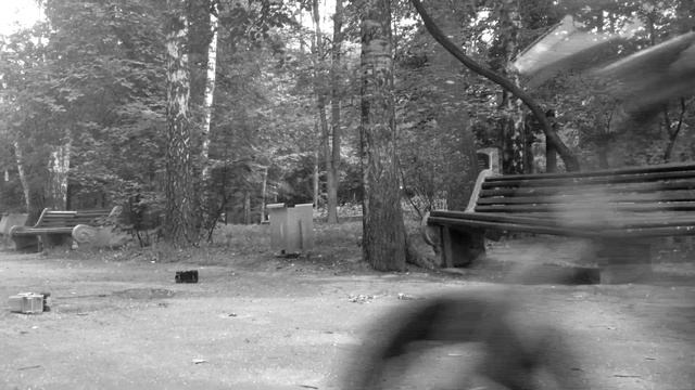 Володимир Войчишин - Дерево (В. Цой) смотреть онлайн