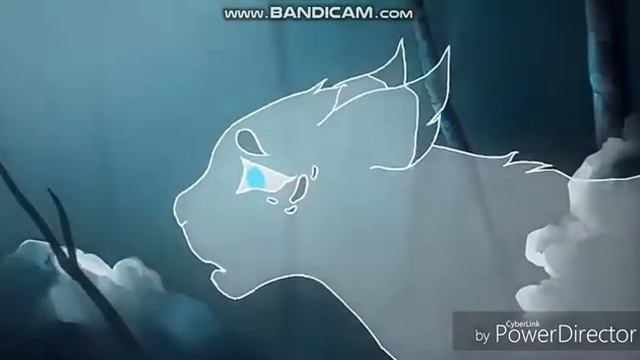 Коты-Воители/Клип-Знак Водолея(для людей с созвездием Водолей)