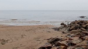 Сестрорецк. Река Малая Сестра в месте впадения в Финский залив
