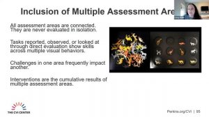 Cortical Visual Impairment Part 2