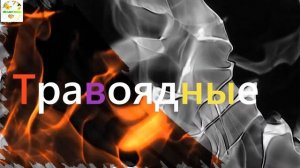 Животные. Хищники и травоядные. Природоведение для малышей от 5 лет. Краткая лекция.