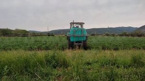 обработка картофеля от сорняка новым опрыскивателем OGR ...800...18   ЧАСТЬ 1