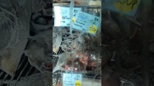 Три ручья Рыбный магазин при производстве Мурманск. Цены на рыбу в Мурманске | Fish Murmansk