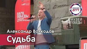 "Судьба" Александр Волкодав - Музей Победы на Поклонной горе, Москва, День города 7.09.24