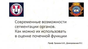 Современные возможности сегментации органов. Как это использовать в оценке почечной функции?