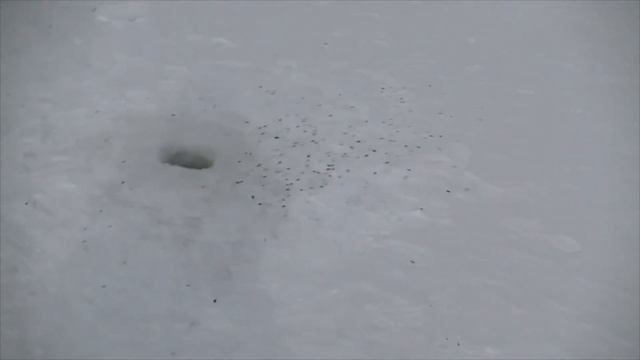 Рыбалка на Озернинском водохранилище ловля подлещика в - 10 9 марта 2021 года. смотреть онлайн