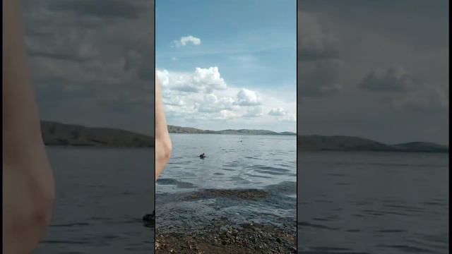 Юбилейный. Боюсь холодной воды