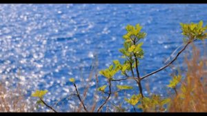 Как приготовить четверговую соль в домашних условиях. Эзотерика для тебя