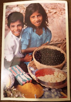 Послевкусие "Индия_Керала_2019"  3 серия