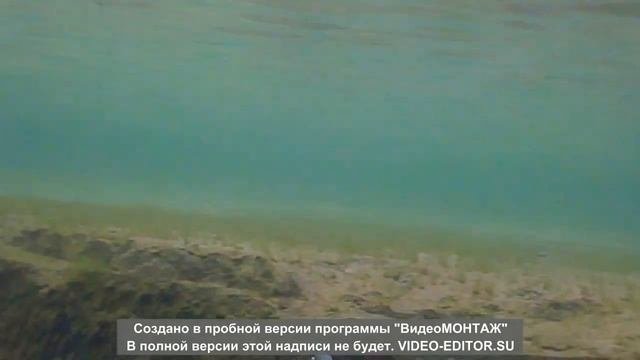 Большой Люберецкий карьер 25.09.2022