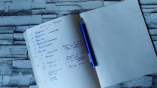 СП "Выбор без выбора 2" с Анной Полозняк. День 4. смотреть онлайн