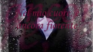 Fausto Papetti   Petite Fleur