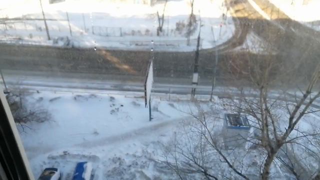 Моя рассада на 8 марта 2021 года. смотреть онлайн