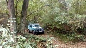 Нива в лесу