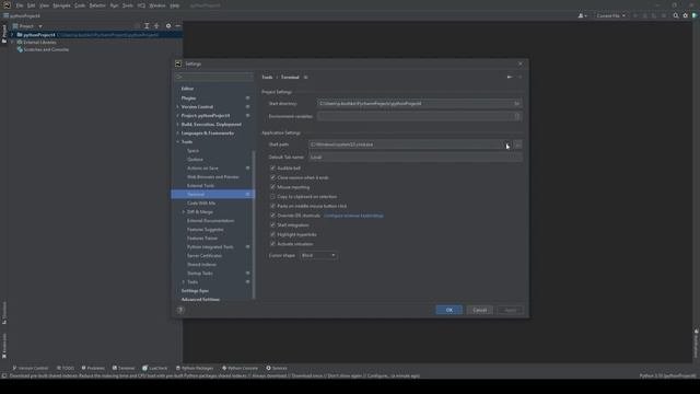 Программирование на Python. Подготовка к программированию.