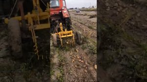 Самодельная грохотная картофелекопалка в работе.