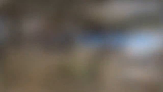 Сборы Яхрома день 8 2022 смотреть онлайн