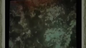 Тема: Развитие общественно-политических мысли в Казахстане в начале 20го века