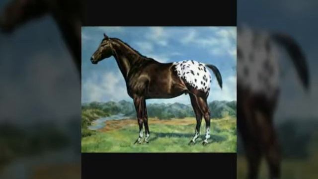 Самые милые животные на свете. смотреть онлайн