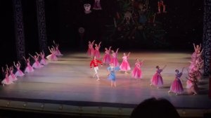 Щелкунчик 23.12.2018. Вальс цветов.