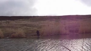 Веселая рыбалка на подкове! Декабрь 2019!