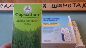 КАМНИ  и песок в ПОЧКАХ,  КАК Быстро растворить их простое ЛЕЧЕНИЕ в домашних условиях .