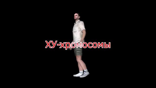 От кого зависит пол ребенка смотреть онлайн